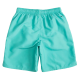 BOARDSHORT SWOOSH BREAK    