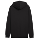 ESS ELEVATED HOODIE TR    