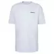 PATAGONIA TS P6 LOGO RESPONSABILI TEE WHITE T-Shirts Randonnée - Polos Randonnée 1-86625